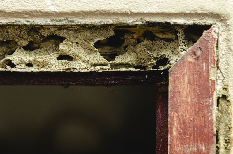 Wood Rot Repair For Decks, Porches, And Ramps